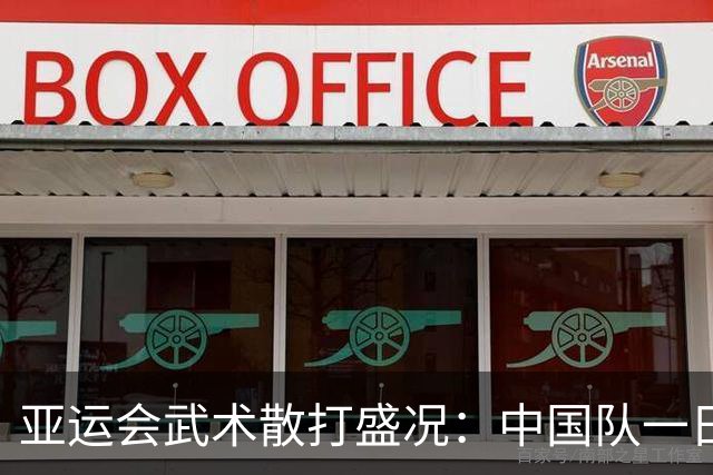 亚运会武术散打盛况：中国队一日斩获六枚金牌